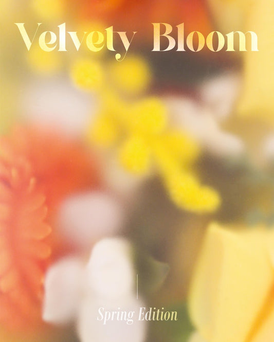 Velvety Bloom