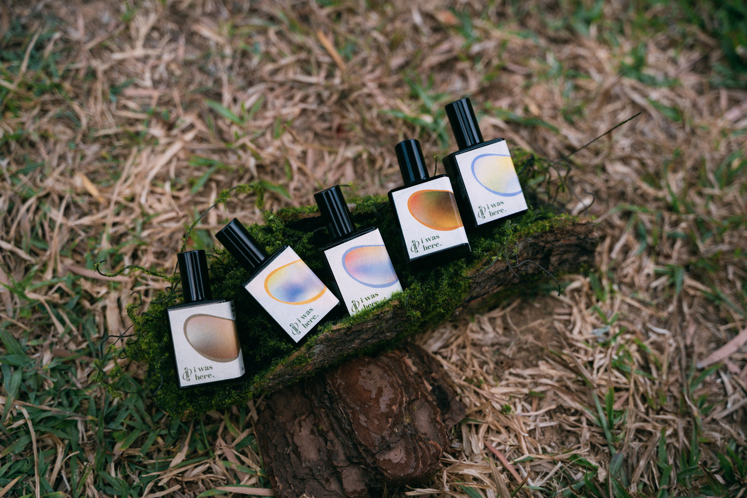 Regular 皇牌植萃香氣