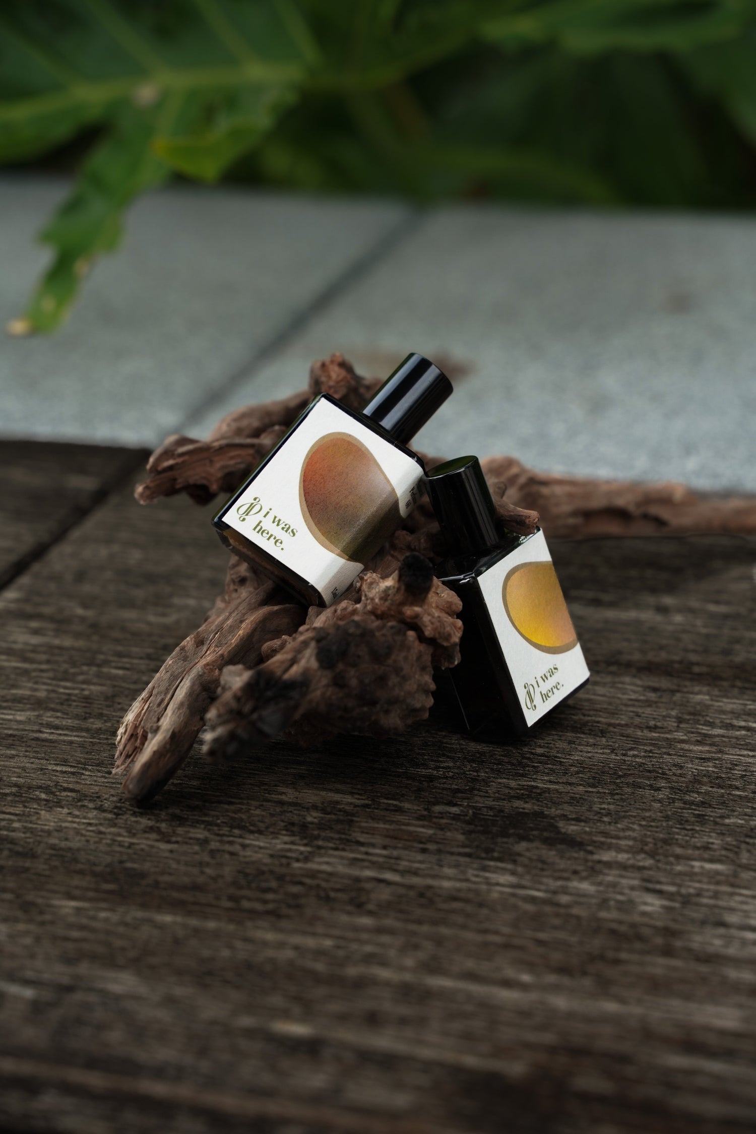 Winter Limited 秋冬限定香