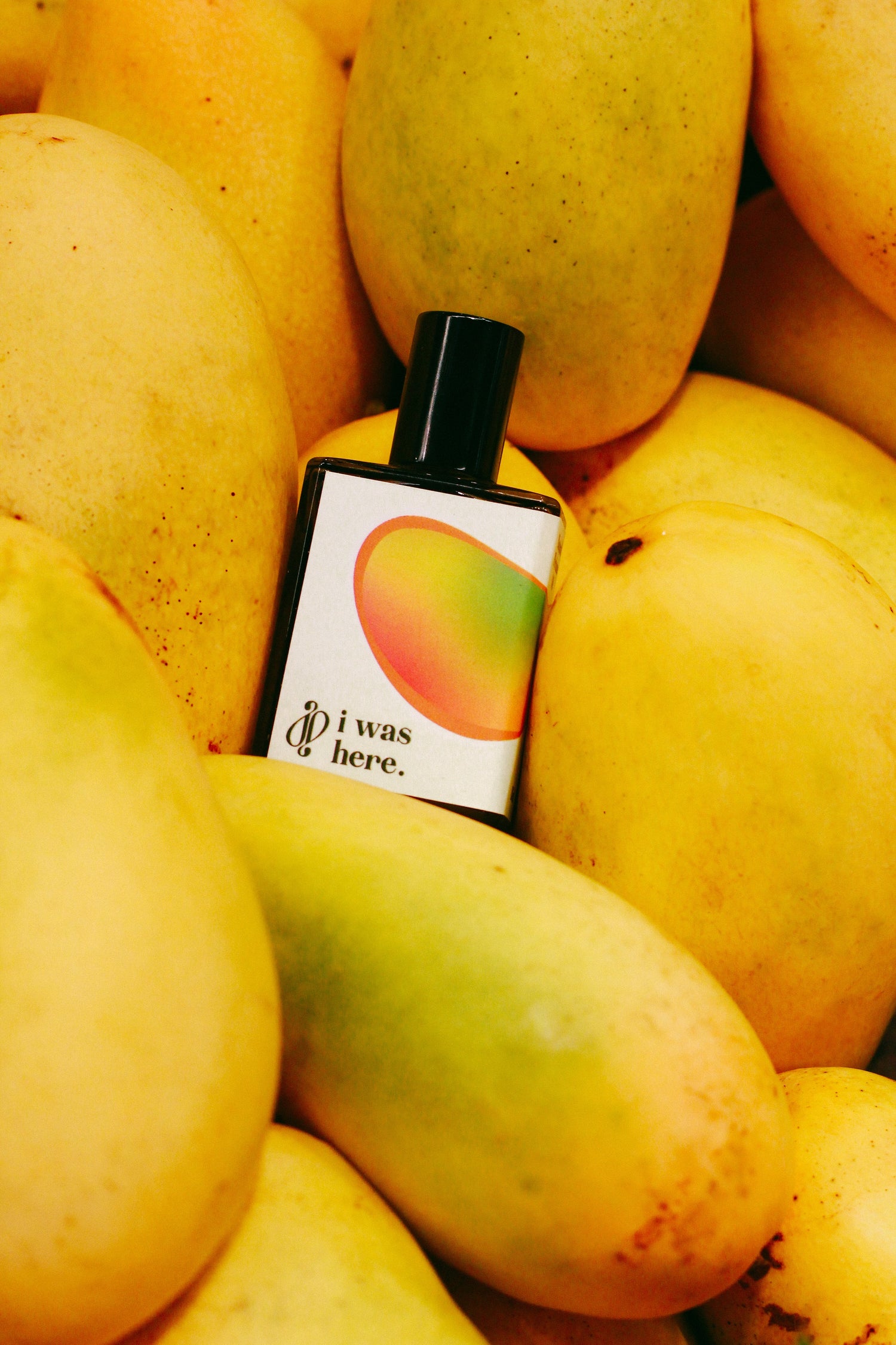 Summer Limited 夏日限定香